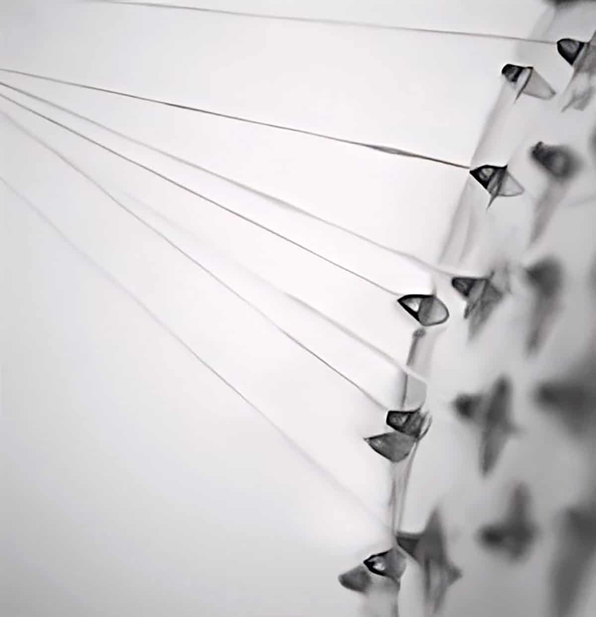 Wp Header Logo 617.png
