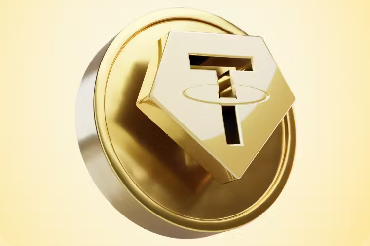 Wp Header Logo 264.png