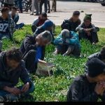 پلمب و تخریب ۳۹ خانه پلاک قرمز