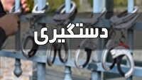 Wp Header Logo 955.png