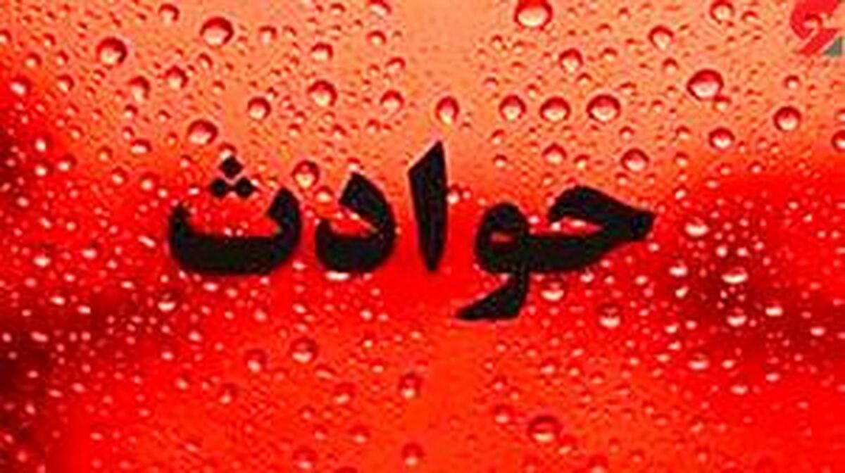 Wp Header Logo 1113.png