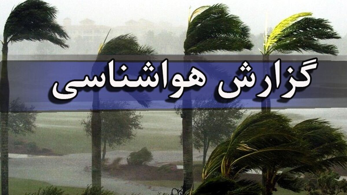 Wp Header Logo 791.png
