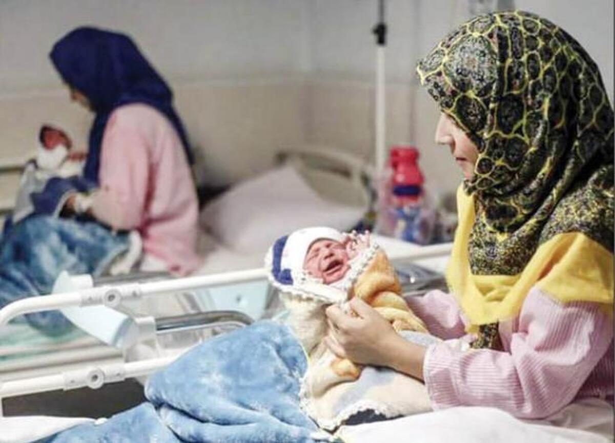 Wp Header Logo 213.png