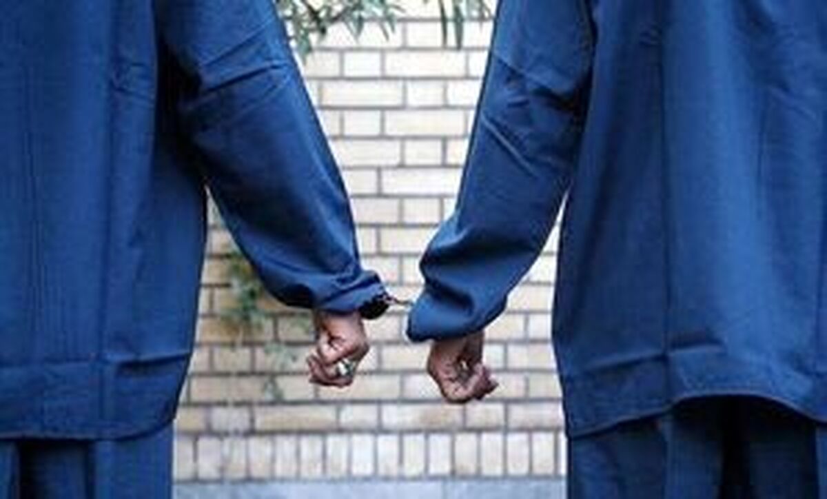 Wp Header Logo 305.png