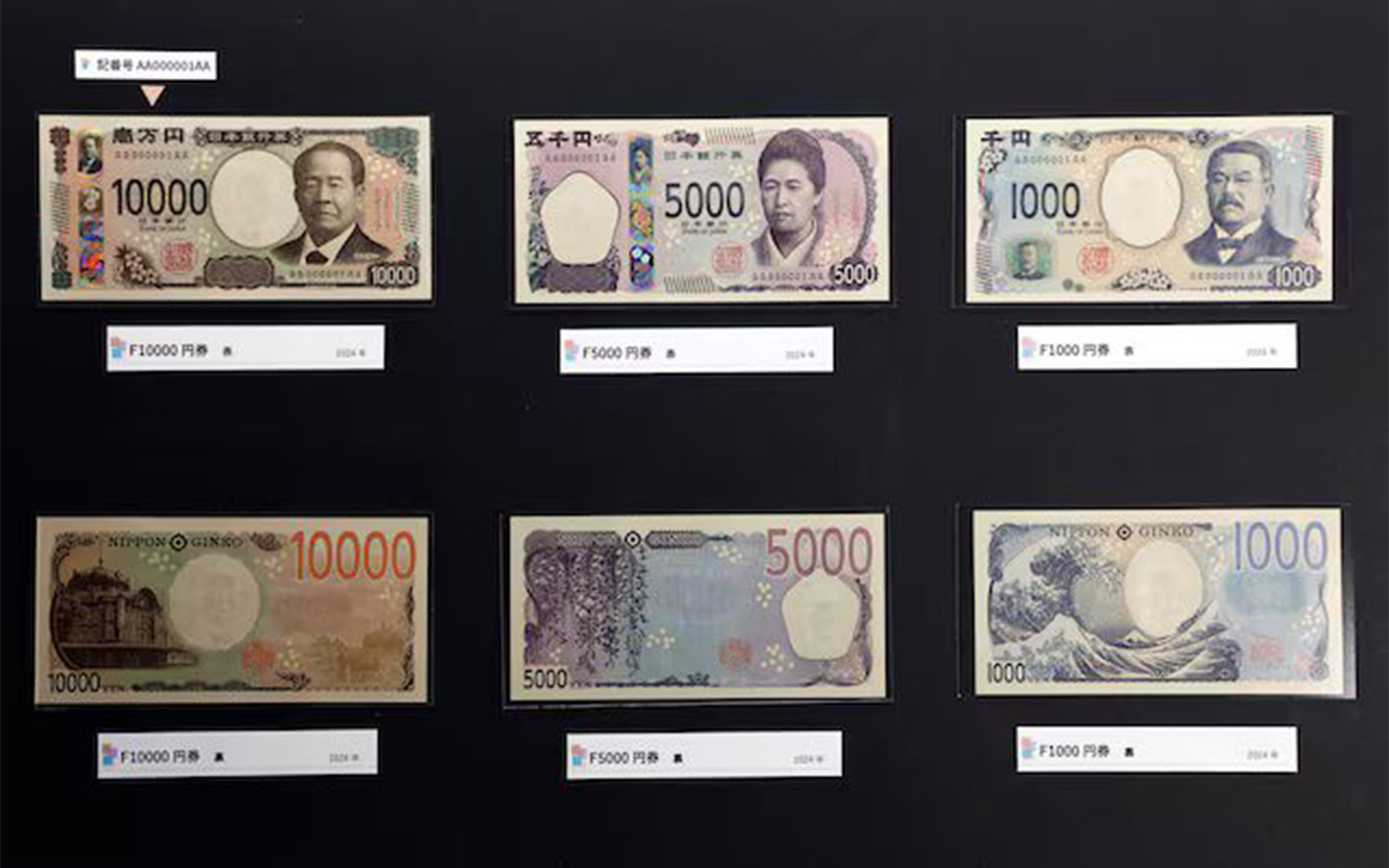 Wp Header Logo 775.png