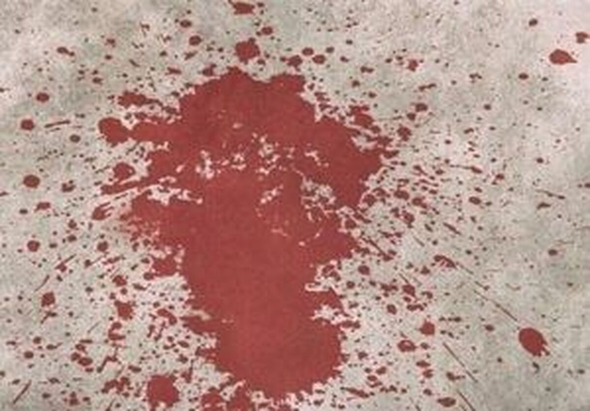 Wp Header Logo 789.png