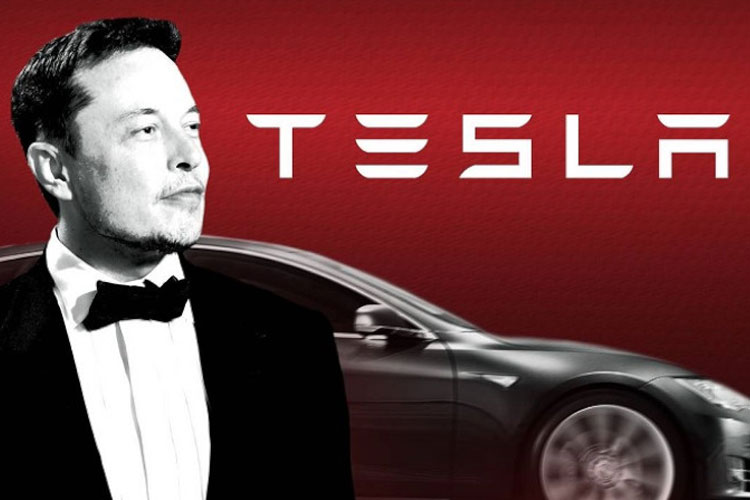 Wp Header Logo 834.png