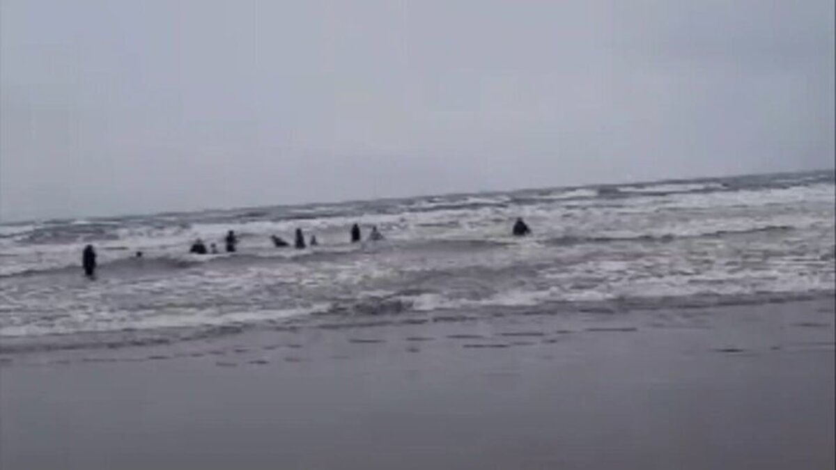 Wp Header Logo 948.png