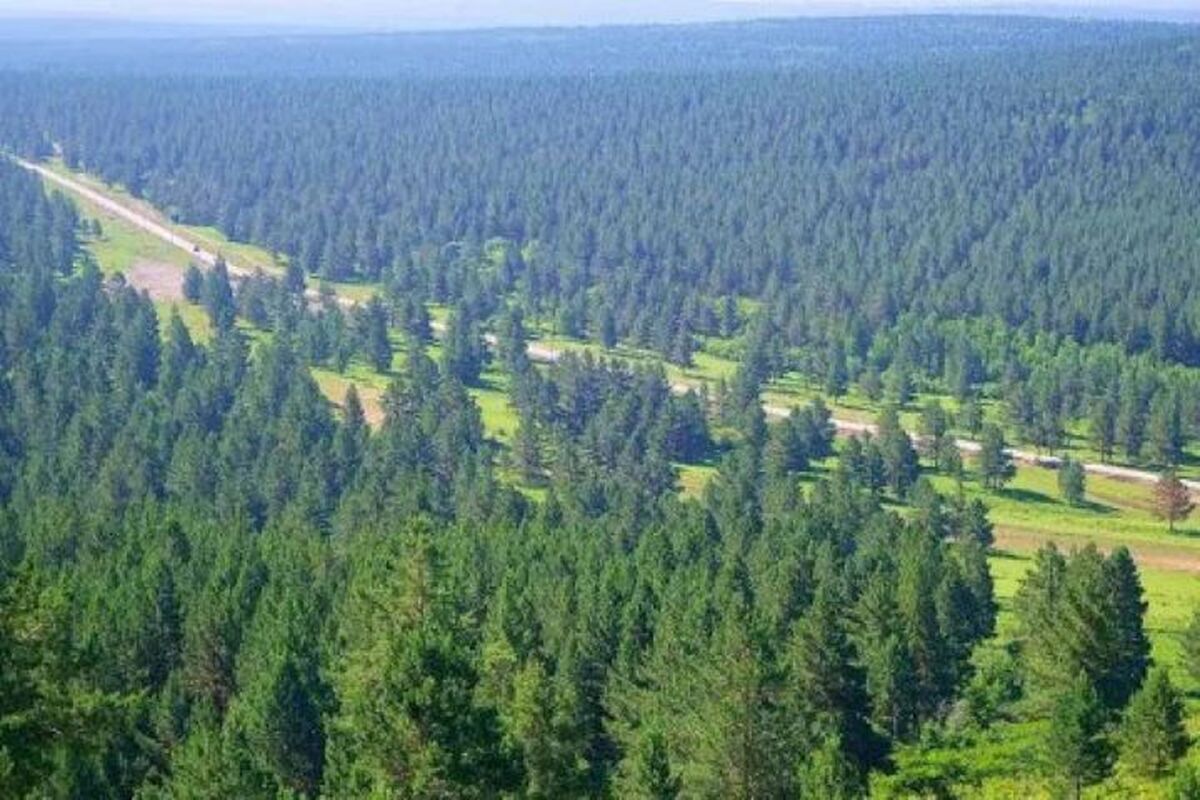 Wp Header Logo 36.png