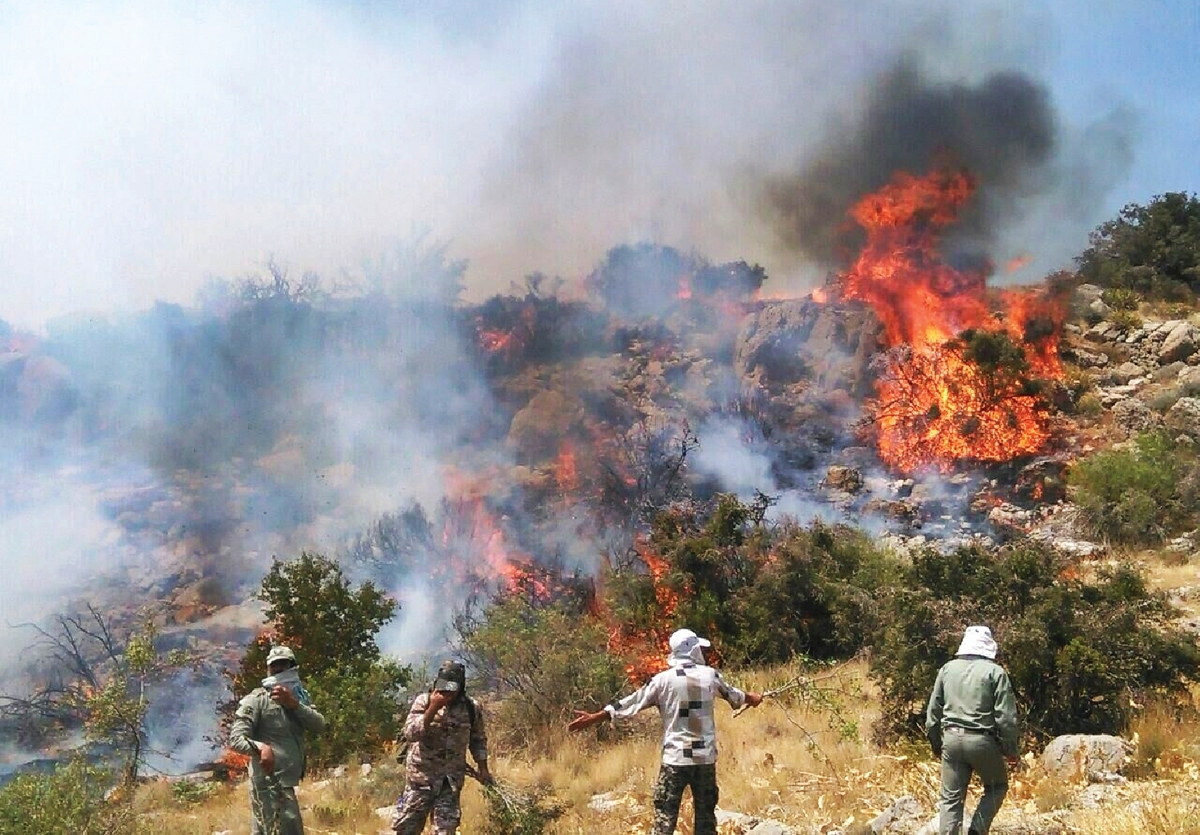 Wp Header Logo 897.png