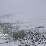 کدام استان‌ها برفی می‌شوند؟